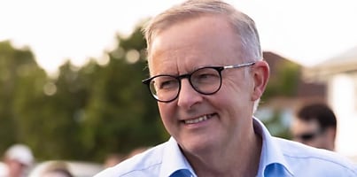 anthony albanese profile ta vtpifc