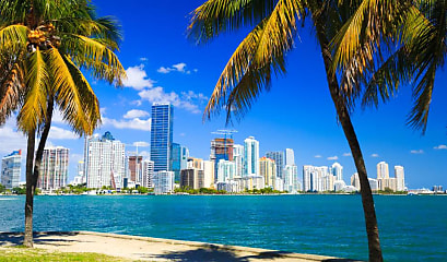 miami skyline palm trees reb b10ea7