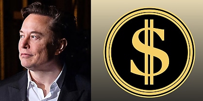 elon musk DOGE cd lyvgau
