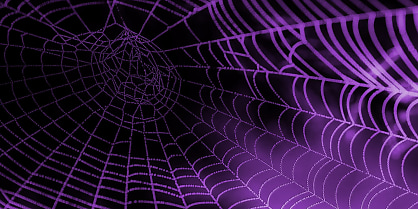 spider web purple may2019