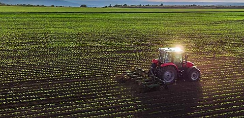 Demand for agribusiness drops alongside crop production