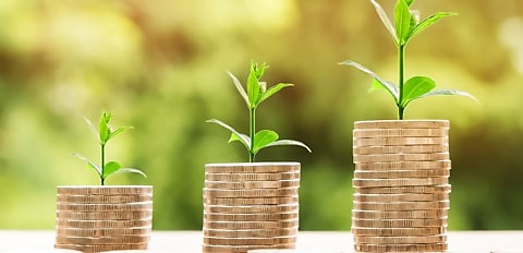 SMEs unwavering in investment opportunities amid economic headwinds