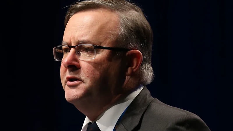 anthony albanese smsf