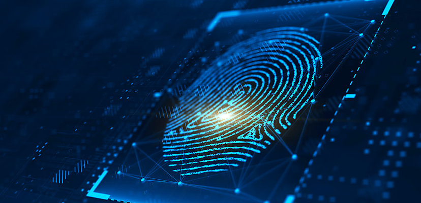 FBI biometrics division website outage claimed by Mr Hamza