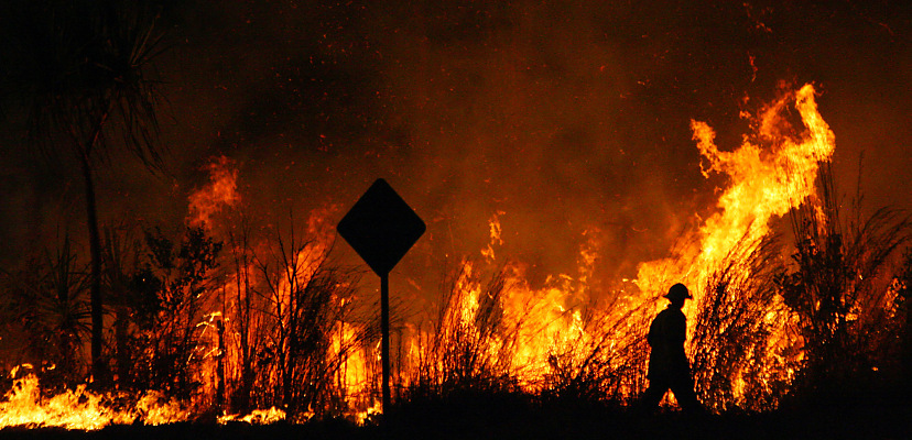 Google funds program to spot bushfires just 5 metres wide