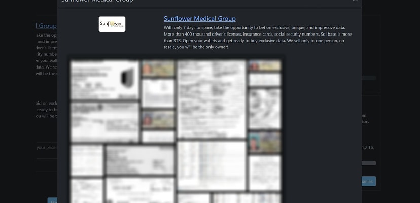 Exclusive: More than 400k Americans impacted by alleged Sunflower Medical Group hack