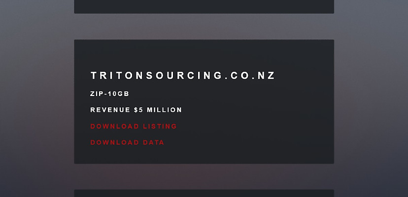 Exclusive: New Zealand importer Triton Sourcing & Distribution confirms ransomware attack