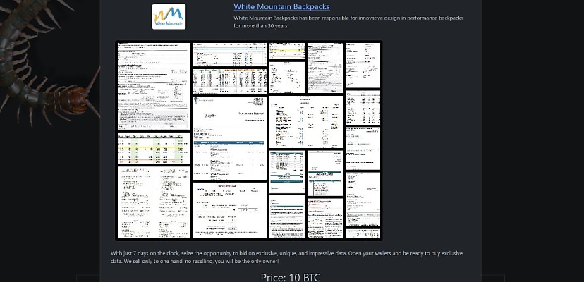 Exclusive: Rhysida lists Aussie outfitter White Mountain Backpacks as ransomware victim