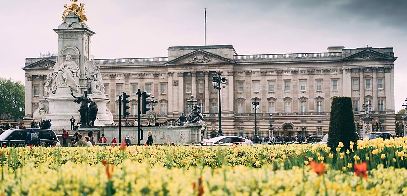 DoS attack on Royal Family claimed by pro-Russian hackers