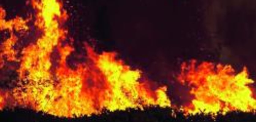 bushfire 250 140