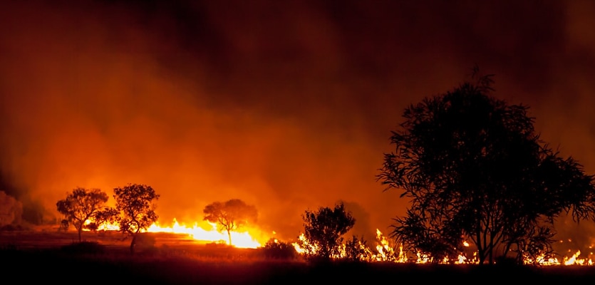 bushfire australia reb fccgub