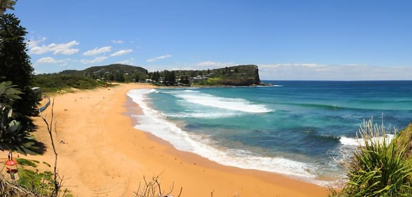 Avalon Beach Northern Beaches reb