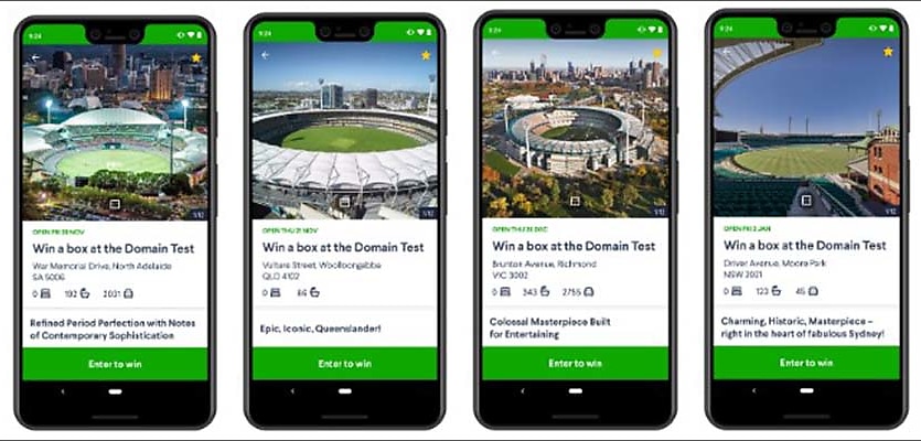 Domain cricket reb