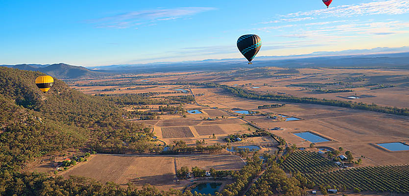 Hunter Valley reb