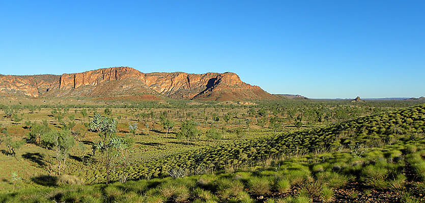 Kimberley WA reb