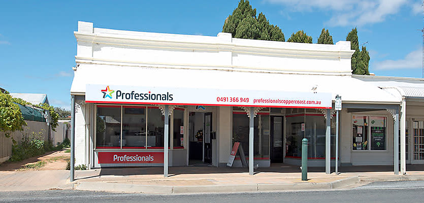 Professionals Real Estate Group reb