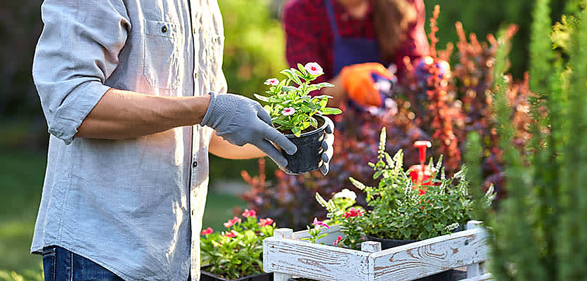 gardening reb