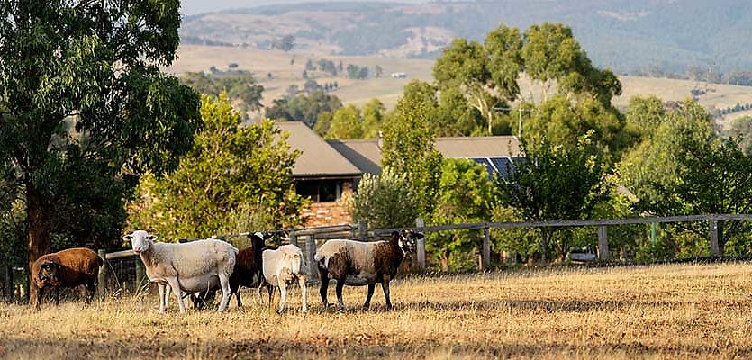 melbourne farm reb