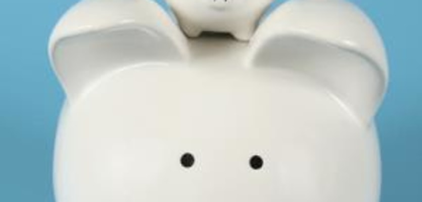 little and big piggy bank