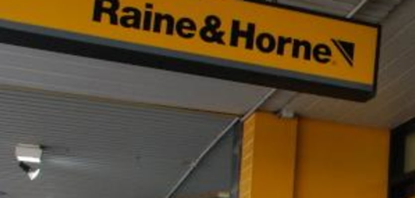 raine horne storefront