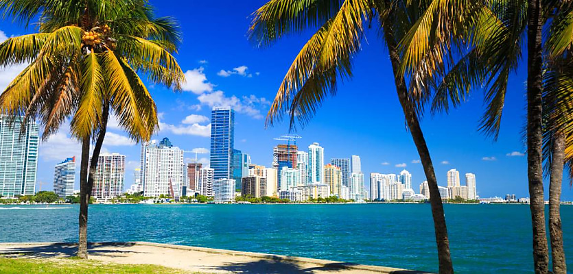 miami skyline palm trees reb b10ea7