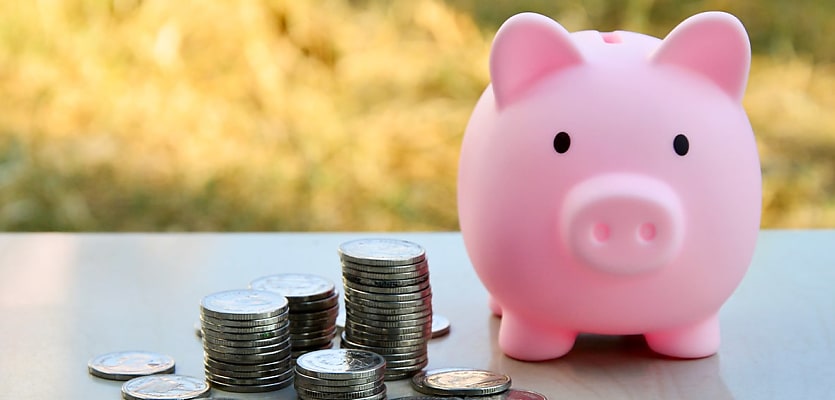 piggy bank coins reb odksch
