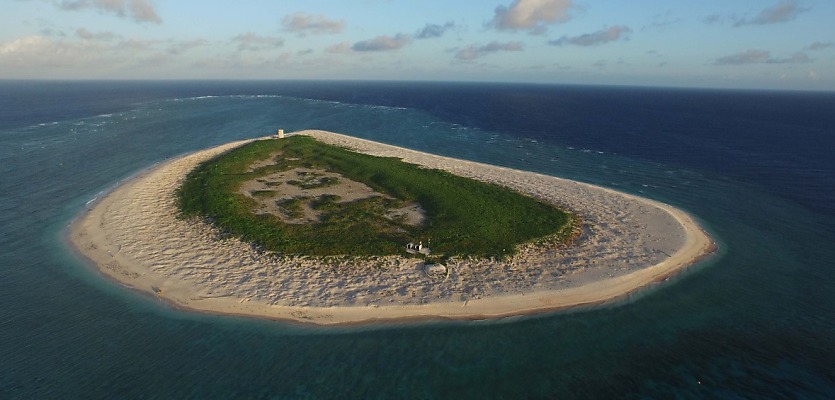 raine horne great barrier reef foundation reb dvfeyy