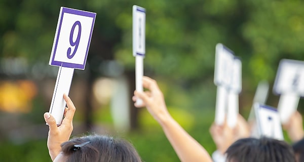 live auction reb b2y2rv