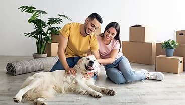 How to prepare your rental property for pets_spi