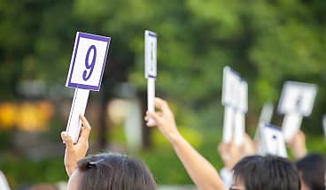 auction bidders_spi_wetn8s