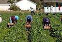 Government Must Prioritise Selection Over Attraction With Migration Says E61