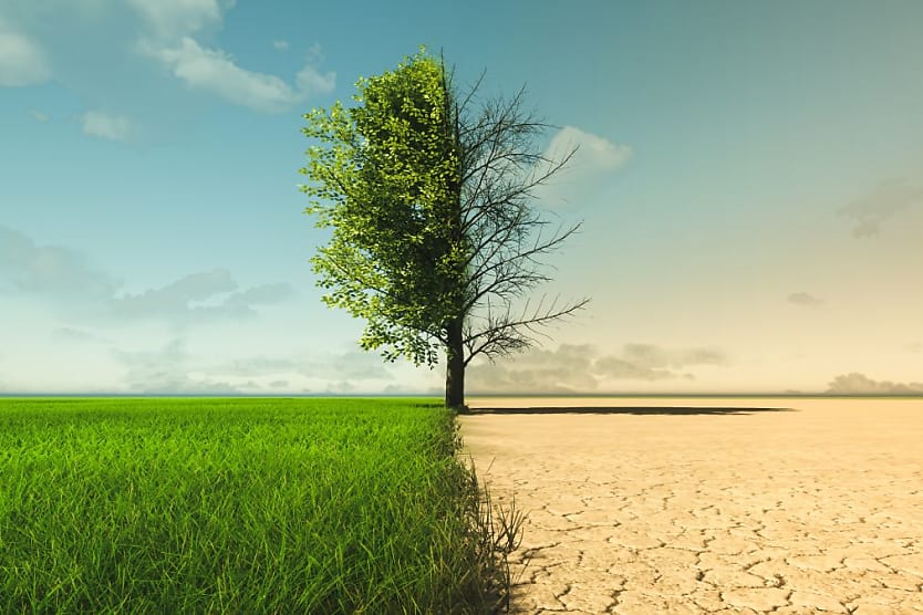 Climate Change Is Killing Workers
