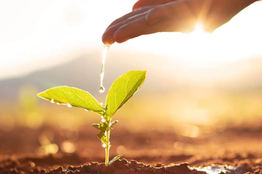 Know Yourself Grow Yourself