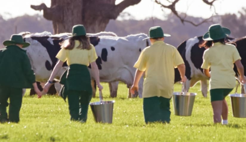 Jalna advised on sale of company to world’s largest dairy business