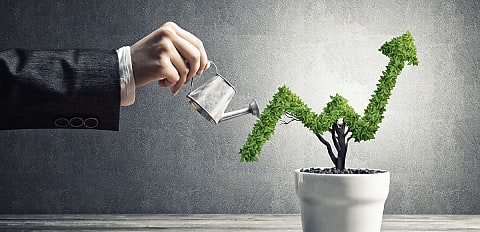 SME confidence up as conditions stabilise: Judo Bank