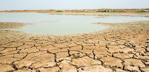 First drought support loans approved in SA