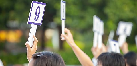 Auction activity loses pace ahead of Cup Day  