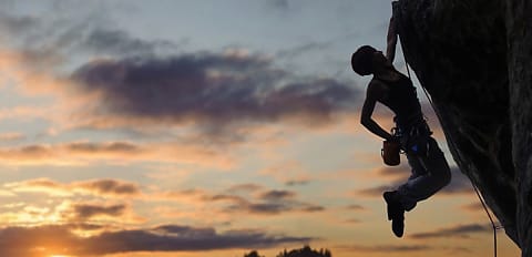 Stress testing proves banks’ resilience: RBA report  