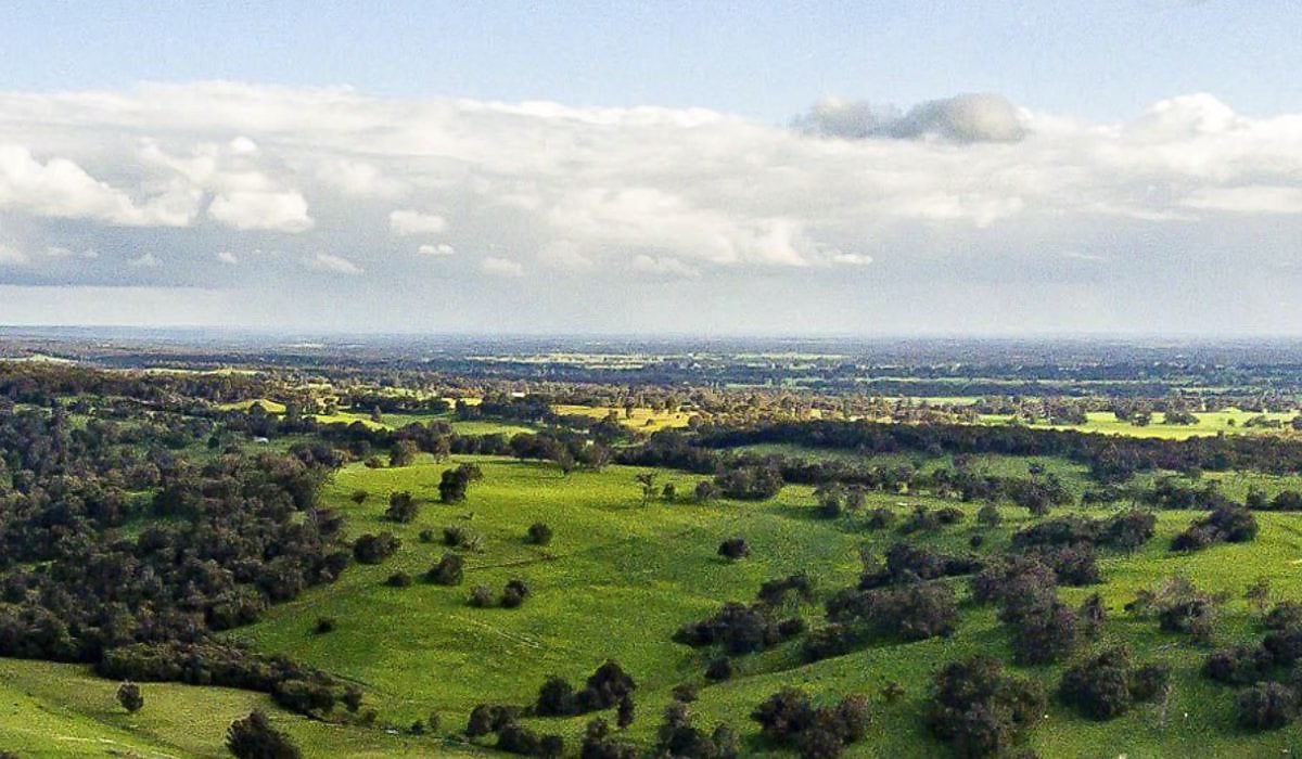 burekup aerial spi bwyvdy