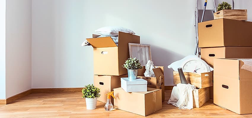 moving boxes reb