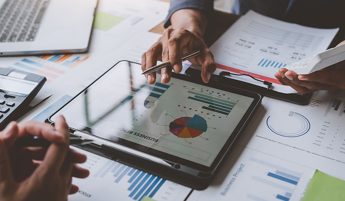 investment strategy spi netlez