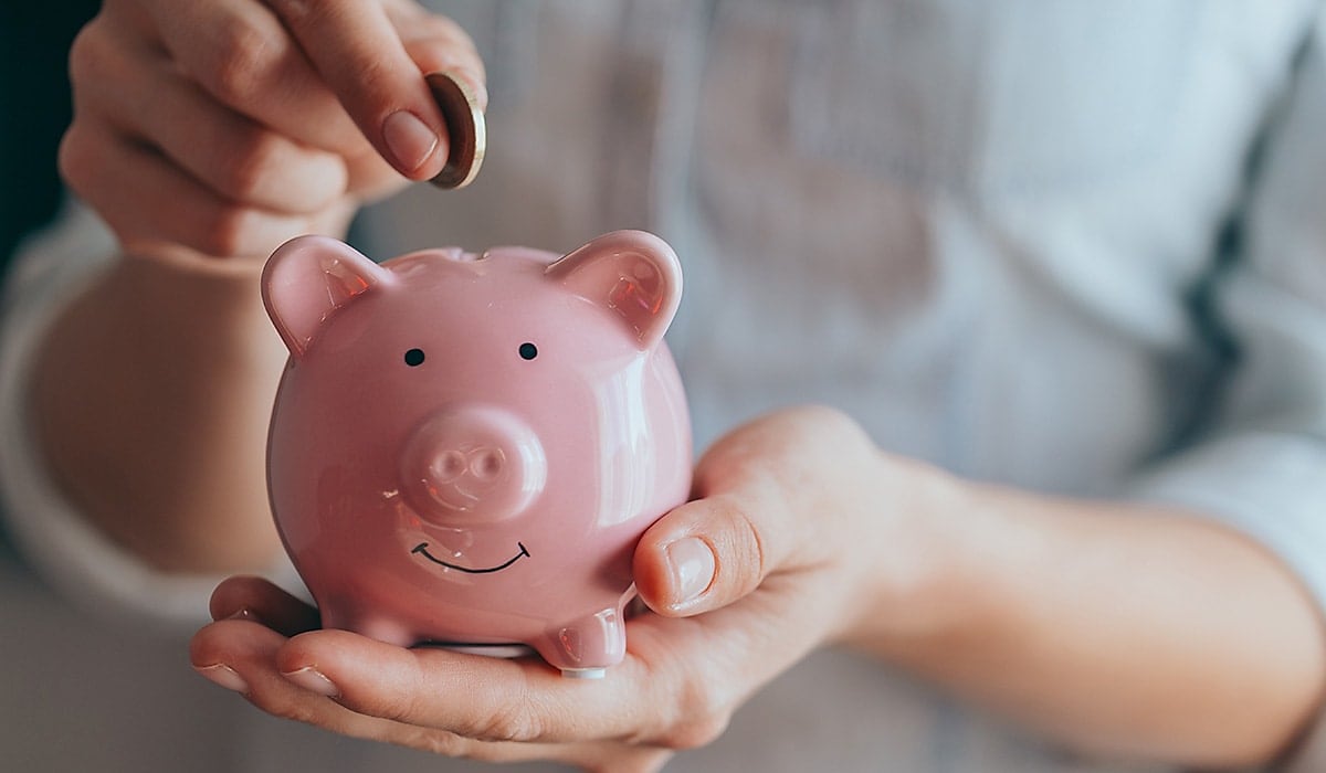 piggy bank savings spi stalk1