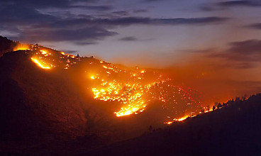 Bush fire