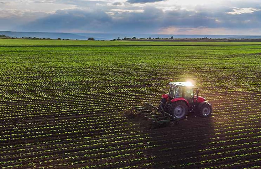 claiming r d activities can boost agrifood sector rsm australia