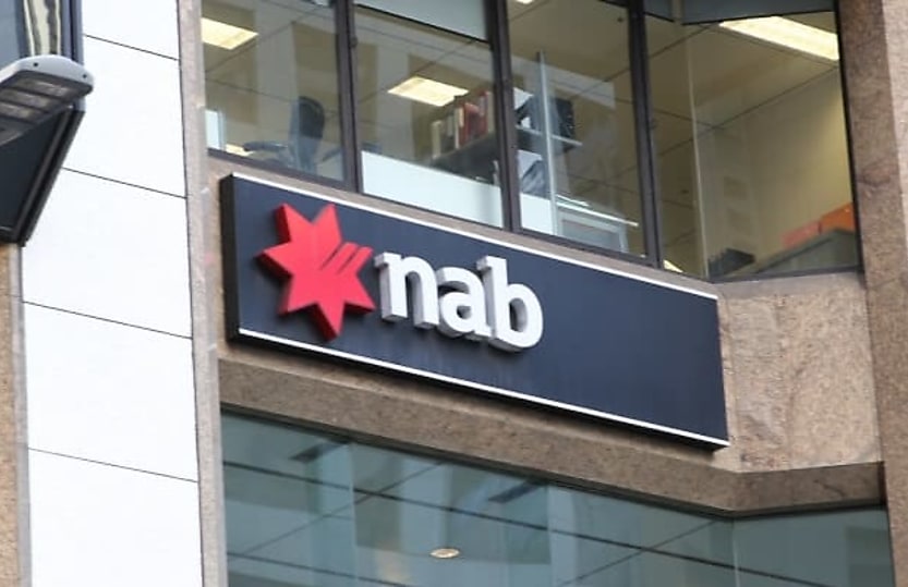 businesses show resilience despite slowing economy nab