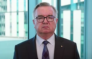 tpb reveals top breaches reported under the dob in obligations