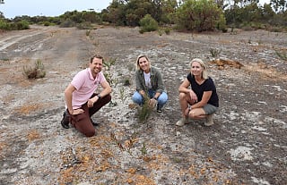 climate zero unveils strategic partnership to bolster sustainability