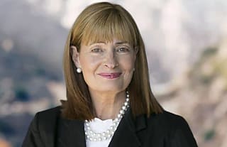 ey appoints former ceo of global law firm as independent non executive