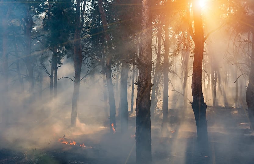 mitigation needed to minimise economic impacts of disasters insurers warn