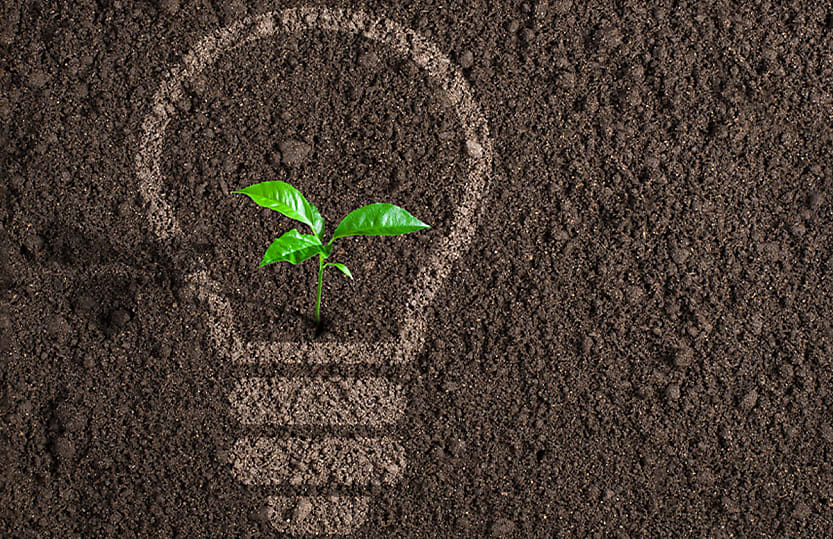 most aussie businesses intend to disclose emissions regardless of rules survey finds